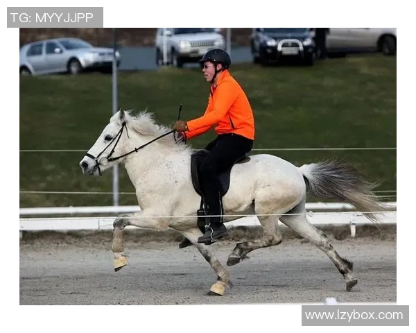 足球明星矮脚马的魅力与风采揭秘及其在球场上的独特表现